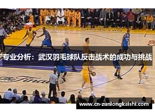 专业分析：武汉羽毛球队反击战术的成功与挑战