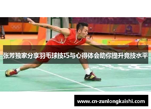 张芳独家分享羽毛球技巧与心得体会助你提升竞技水平